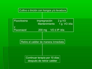 Cultivo o tinción con hongos y/o levadura



Fluocitosina       Impregnación       2 g VO
                    Mantenimiento      1 g VO /día
y
Fluconazol          200 mg     VO ó IP /día



      Retire el catéter de manera inmediata




          Continuar terapia por 10 días
           después de retirar catéter
 
