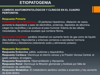ETIOPATOGENIA
CAMBIOS ANATOMOPATOLÓGICOS Y CLÍNICOS EN EL CUADRO
PERITONITIS:
Respuesta Primaria
Inflamación de la Membrana. - El peritoneo hiperémico, dilatación de vasos,
aumenta la diapedesis y paso de electrolitos, proteínas, depósitos de albúmina.
Llegan los neutrófilos y se produce el paso humoral. Edema de las células
mesoteliales. Se produce exudado que contiene fibrina.
Respuesta Intestinal: parálisis intestinal con aumento tanto de gas como de líquido
(Íleo Adinámico). Hipovolemia y entonces comienza a secretarse hormona
Antidiurética y Aldosterona (reteniendo sodio y eliminando potasio).
Respuesta Secundaria:
Respuesta Endocrina: pálido, sudoroso y taquicárdico.
Respuesta Cardiaca: Disminuye el retorno venoso y la Presión Venosa Central, el
gasto cardiaco, el oxígeno.
Respuesta Respiratoria: Hiperventilación y Hipoxemia
Respuesta Renal: Disminuye la filtración glomerular y Acidosis por falta de
eliminación de catabolitos.
Respuesta Metabólica: El metabolismo aeróbico cambia a anaerobio y hay aumento
de ácido láctico.
 