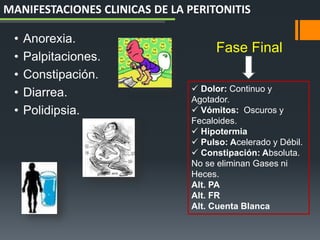 • Anorexia.
• Palpitaciones.
• Constipación.
• Diarrea.
• Polidipsia.
 Dolor: Continuo y
Agotador.
 Vómitos: Oscuros y
Fecaloides.
 Hipotermia
 Pulso: Acelerado y Débil.
 Constipación: Absoluta.
No se eliminan Gases ni
Heces.
Alt. PA
Alt. FR
Alt. Cuenta Blanca
Fase Final
MANIFESTACIONES CLINICAS DE LA PERITONITIS
 