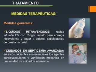 MEDIDAS TERAPÉUTICAS:
Medidas generales:
LÍQUIDOS INTRAVENOSOS: rápida
infusión EV con Ringer lactato para corregir
hipovolemia y llegar a valores satisfactorios
de presión arterial.
CUIDADOS EN SEPTICEMIA AVANZADA:
en estos pacientes son esenciales los agentes
cardiovasculares y ventilación mecánica en
una unidad de cuidados intensivos.
TRATAMIENTO
 
