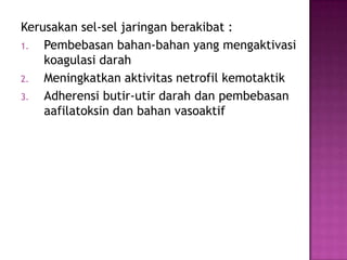 Kerusakan sel-sel jaringan berakibat :
1.
Pembebasan bahan-bahan yang mengaktivasi
koagulasi darah
2.
Meningkatkan aktivitas netrofil kemotaktik
3.
Adherensi butir-utir darah dan pembebasan
aafilatoksin dan bahan vasoaktif

 