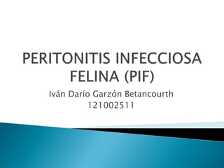 PERITONITIS INFECCIOSA FELINA (PIF) Iván Darío Garzón Betancourth 121002511 
