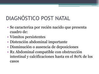 DIAGNÓSTICO POST NATAL
• Se caracteriza por recién nacido que presenta
  cuadro de:
• Vómitos persistentes
• Distención abdominal importante
• Disminución o ausencia de deposiciones
• Rx Abdominal compatible con obstrucción
  intestinal y calcificaciones hasta en el 80% de los
  casos
 