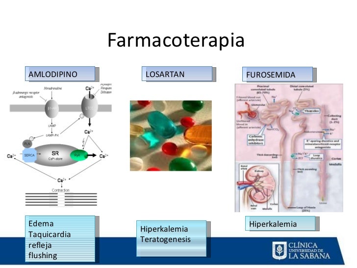 Metabolismo de la ceftriaxona Metabolismo de la ceftriaxona