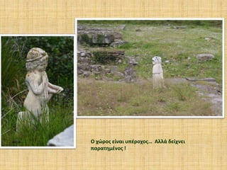 Ο χώρος είναι υπέροχος… Αλλά δείχνει
παρατημένος !
 