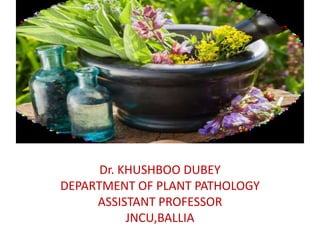 Dr. KHUSHBOO DUBEY
DEPARTMENT OF PLANT PATHOLOGY
ASSISTANT PROFESSOR
JNCU,BALLIA
 
