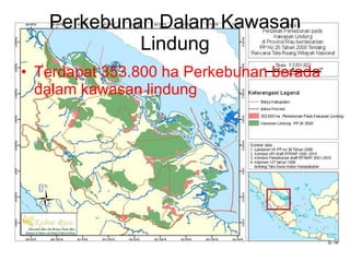 Perkebunan Dalam Kawasan Lindung Terdapat 353.800 ha Perkebunan berada dalam kawasan lindung 