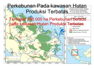 Perkebunan Pada kawasan Hutan Produksi Terbatas Terdapat 190.000 ha Perkebunan berada pada kawasan Hutan Produksi Terbatas 