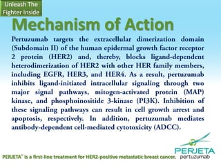 Mechanism of Action

PERJETA® is a first-line treatment for HER2-positive metastatic breast cancer.

 