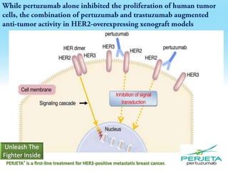 PERJETA® is a first-line treatment for HER2-positive metastatic breast cancer.

 