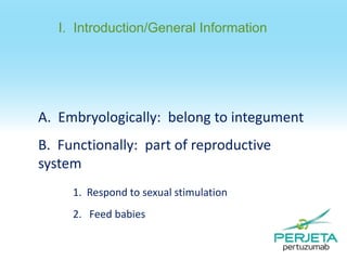 I. Introduction/General Information

A. Embryologically: belong to integument
B. Functionally: part of reproductive
system
1. Respond to sexual stimulation

2. Feed babies

 