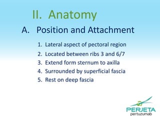 II. Anatomy
A. Position and Attachment
1. Lateral aspect of pectoral region
2.
3.
4.
5.

Located between ribs 3 and 6/7
Extend form sternum to axilla
Surrounded by superficial fascia
Rest on deep fascia

 