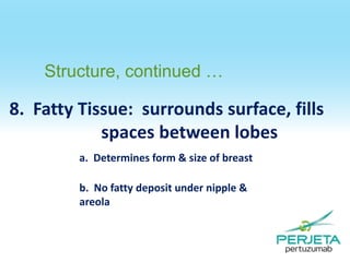 Structure, continued …

8. Fatty Tissue: surrounds surface, fills
spaces between lobes
a. Determines form & size of breast
b. No fatty deposit under nipple &
areola

 