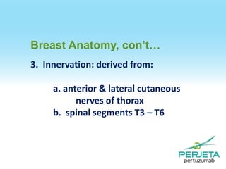 Breast Anatomy, con’t…
3. Innervation: derived from:
a. anterior & lateral cutaneous
nerves of thorax
b. spinal segments T3 – T6

 