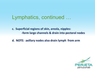 Lymphatics, continued …
c. Superficial regions of skin, areola, nipples:
-form large channels & drain into pectoral nodes

d. NOTE: axillary nodes also drain lymph from arm

 