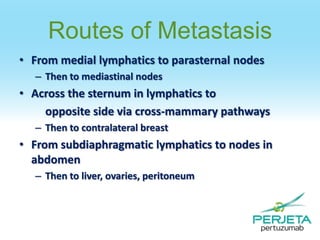 Routes of Metastasis
• From medial lymphatics to parasternal nodes
– Then to mediastinal nodes

• Across the sternum in lymphatics to
opposite side via cross-mammary pathways
– Then to contralateral breast

• From subdiaphragmatic lymphatics to nodes in
abdomen
– Then to liver, ovaries, peritoneum

 