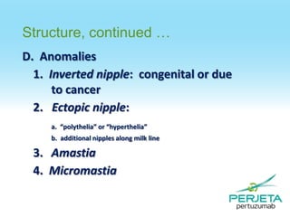 Structure, continued …
D. Anomalies
1. Inverted nipple: congenital or due
to cancer
2. Ectopic nipple:
a. “polythelia” or “hyperthelia”
b. additional nipples along milk line

3. Amastia
4. Micromastia

 