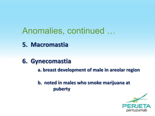 Anomalies, continued …
5. Macromastia
6. Gynecomastia
a. breast development of male in areolar region
b. noted in males who smoke marijuana at
puberty

 