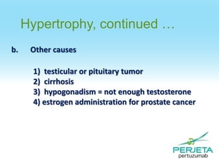Hypertrophy, continued …
b.

Other causes
1) testicular or pituitary tumor
2) cirrhosis
3) hypogonadism = not enough testosterone
4) estrogen administration for prostate cancer

 