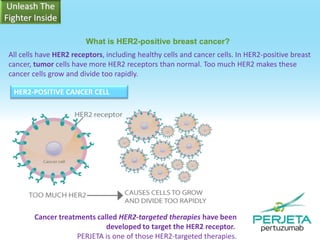 What is HER2-positive breast cancer?
All cells have HER2 receptors, including healthy cells and cancer cells. In HER2-positive breast
cancer, tumor cells have more HER2 receptors than normal. Too much HER2 makes these
cancer cells grow and divide too rapidly.
HER2-POSITIVE CANCER CELL

Cancer treatments called HER2-targeted therapies have been
developed to target the HER2 receptor.
PERJETA is one of those HER2-targeted therapies.

 