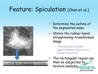 Feature: Spiculation [Chan et al.]
• Determine the outline of
the segmented mass
• Obtain the rubber-bandstraightening-transformed
image
– The spicules become
approximately aligned in a
similar direction

• The rectangular region can
then be subjected to
texture analysis
95

 