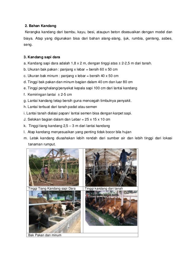 Perkandangan