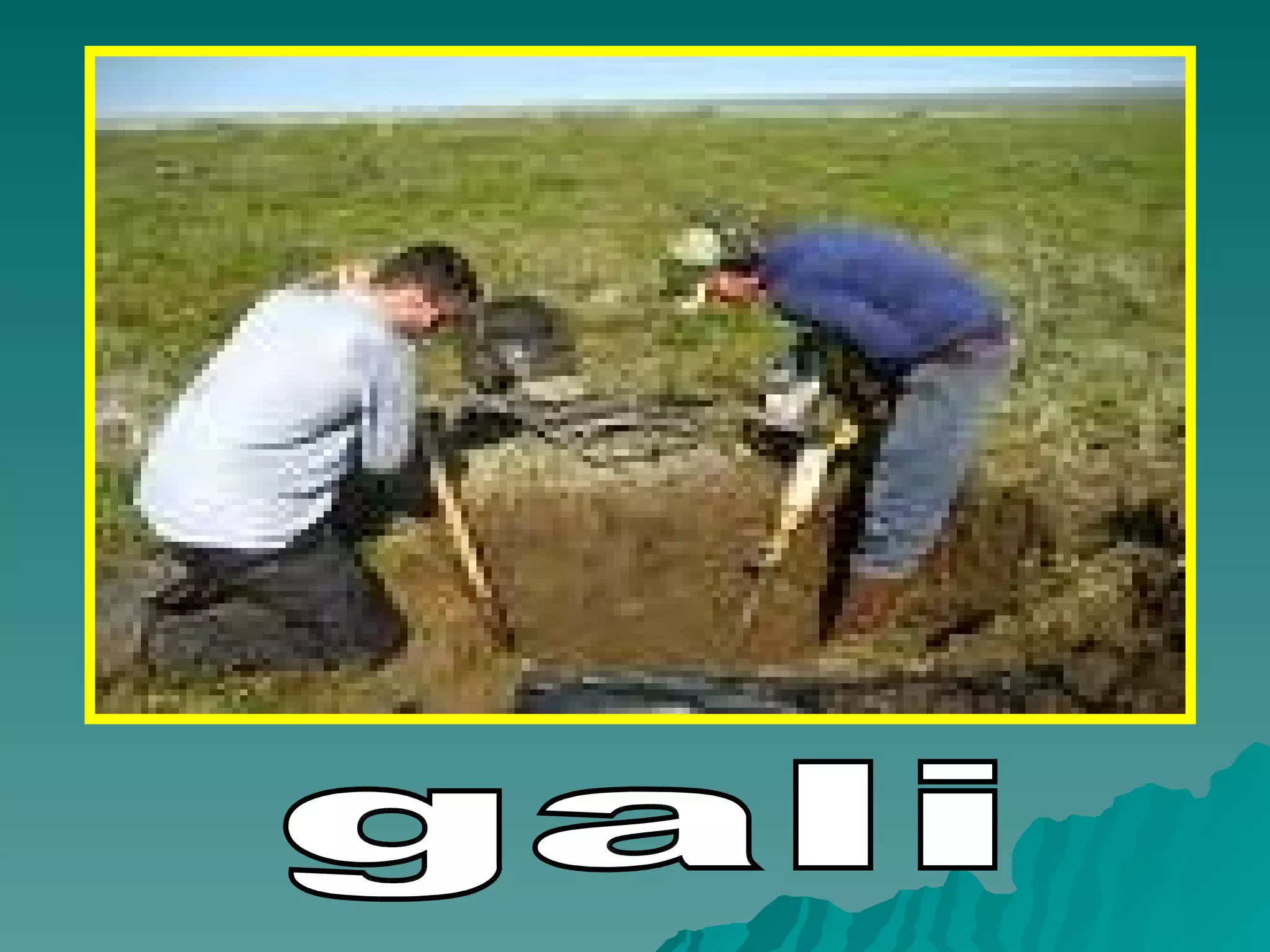 gali