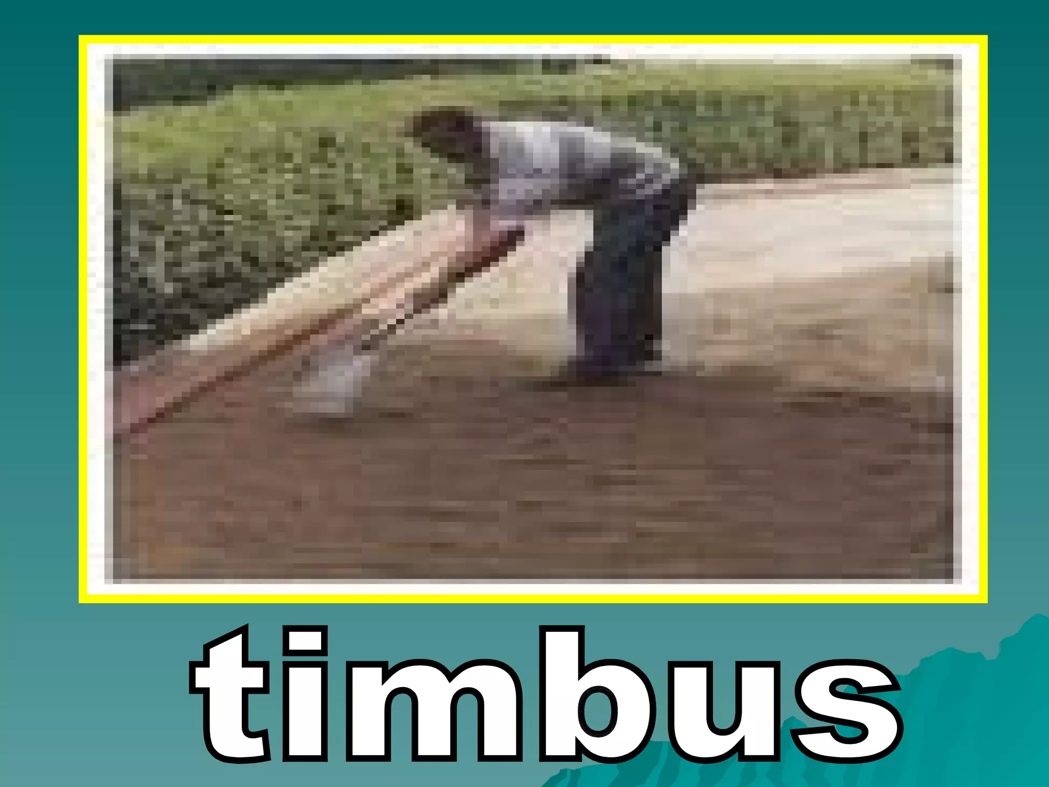 timbus