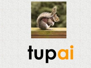 tupai