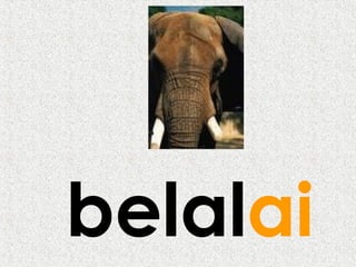 belalai