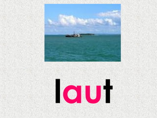 laut
