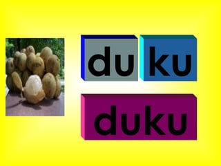 du ku duku 