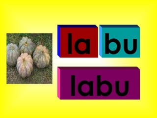 la bu labu 