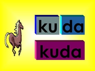 ku da kuda 