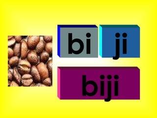 bi ji biji 