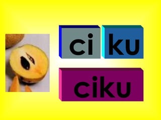 ci ku ciku 
