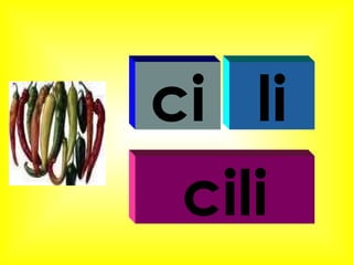 ci li cili 