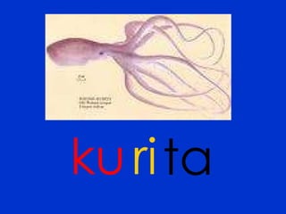 ku ta ri 