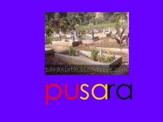 pu ra sa 