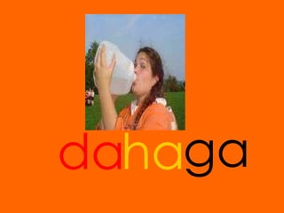 da ga ha 