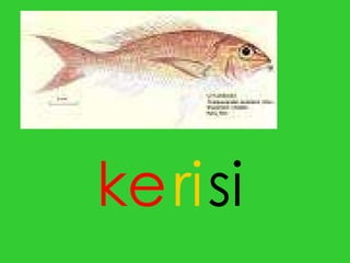 ke si ri 