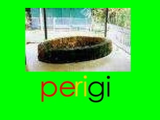 pe gi ri 