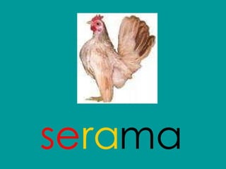 se ma ra 