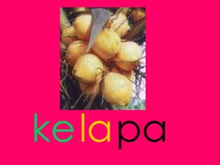 ke pa la 