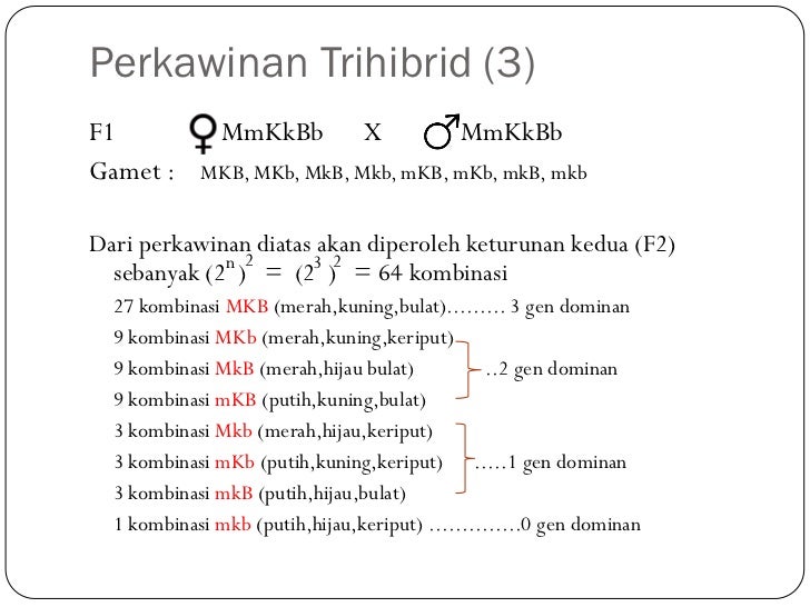 Perkawinan Trihibrid