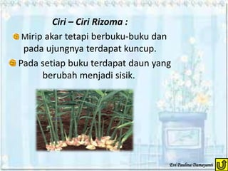 Perkembangbiakan vegetatif tumbuhan.ppt