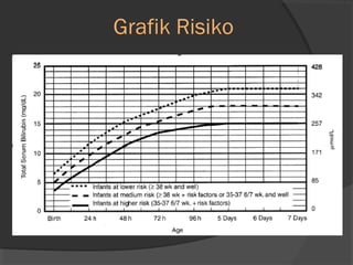 Grafik Risiko 
 