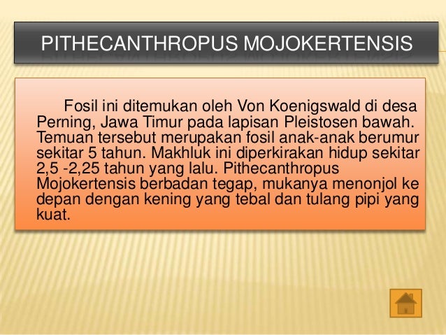 Perkembangan biologis manusia purba di indonesia