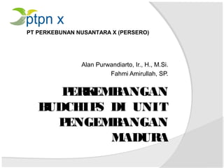 PERKEMBANGAN
BUDCHIPS DI UNIT
PENGEMBANGAN
MADURA
Alan Purwandiarto, Ir., H., M.Si.
Fahmi Amirullah, SP.
PT PERKEBUNAN NUSANTARA X (PERSERO)
 