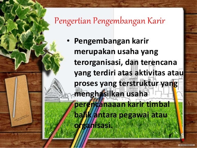 Perkembangan dan kematangan karir remaja